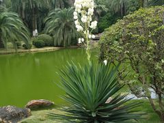 -圣爵菲斯大酒店(长沙世界之窗店)