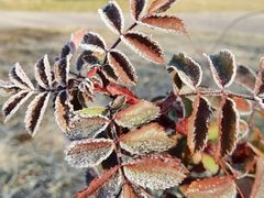 -长春公园(普阳街道)