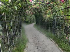 -麦积山温泉