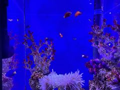 -海合安武汉极地海洋公园