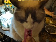 -南京天堂隔壁酒吧