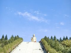 -中原大佛景区