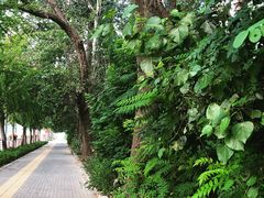 -马栏河运动公园