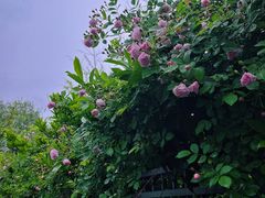 -江苏第二师范学院(草场门校区)