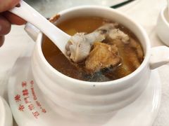 养生青木瓜炖水库鱼-百乐门喜宴(海珠广场华厦店)