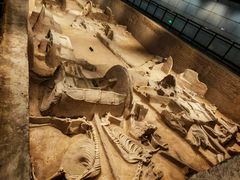 -洛阳周王城天子驾六博物馆