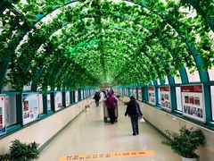 -江苏省人民医院(广州路院区)