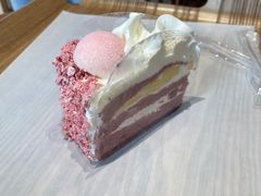 -可莎蜜兒(金城店)