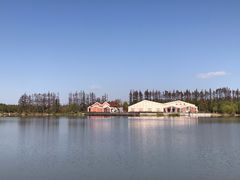 -上海长兴岛郊野公园