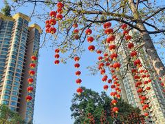 -晓港公园