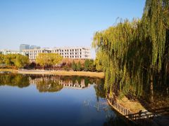 -大兴滨河森林公园