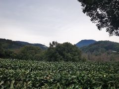-西湖风景区十里琅珰-五云山