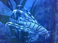 -常州海昌海洋探索馆