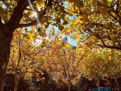 -苏州河梦清园环保主题公园