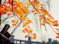 -东北大学(南湖校区)