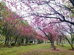 -汉江湾体育公园