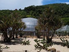 -深圳仙湖植物园