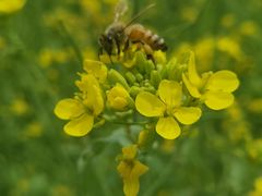 -长春公园(普阳街道)