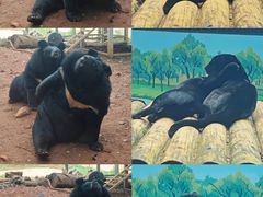 -昆明动物园