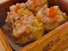 黄袍太子烧卖皇-乙龍天