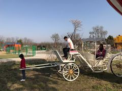 -天王浮山樱花园