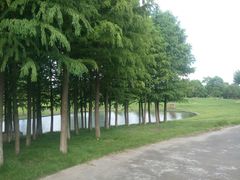 -同济大学(嘉定校区)