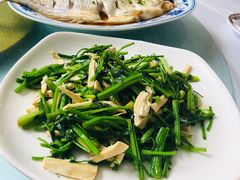 清蒸白丝鱼-状元楼(金溪路店)