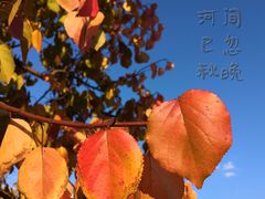 -城墙带状公园-大同古城墙广场停车场