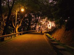 -风云岭森林公园