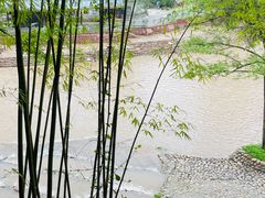-川西竹海景区