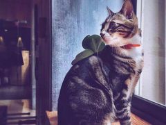 -P2·创客中心(东海广场店)