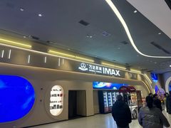 -万达影城(汉街万达广场IMAX店)