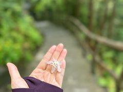-石台牯牛降景区