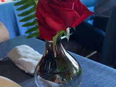 -弦月窗LUNETTE BY AMANDA(复兴路店)