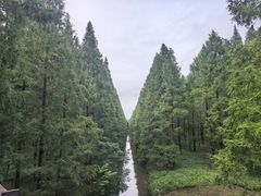 -黄海国家森林公园