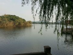 -上海市保健医疗中心(华东疗养院)