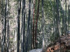 -黄山翡翠谷景区