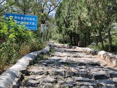 -阳台山自然风景区