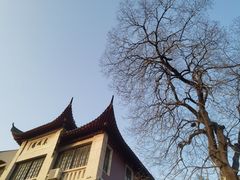 -长春观