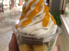 -Salud撒露欧洲冻酸奶(北苑上品店)