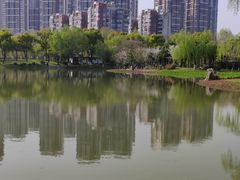 -堤角公园