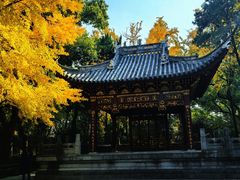 -汇龙潭