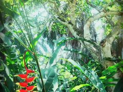 -中国科学院西双版纳热带植物园