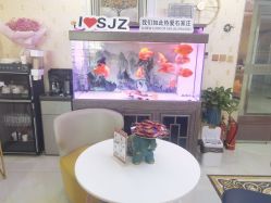 -安院长·产后恢复·徒手骨盆(先天下店)