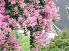 -杭州城北体育公园