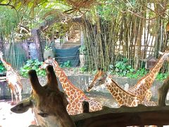 -长鹿旅游休博园