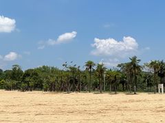 -大白象口腔连锁·矫正·种植中心(玺悦城店)