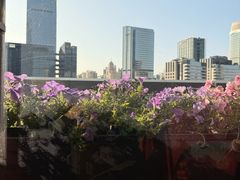 -Mercato莫卡多露台餐厅与酒吧(K11店)