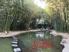 -竹泉村旅游度假区