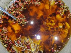 水煮鱼-鸭王烤鸭店(三里河店)